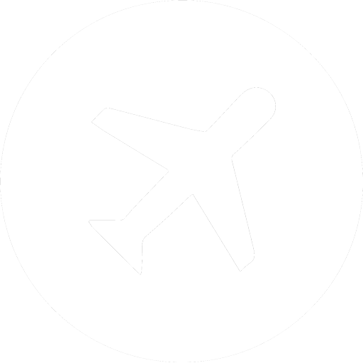 Airport Delivery Icon
