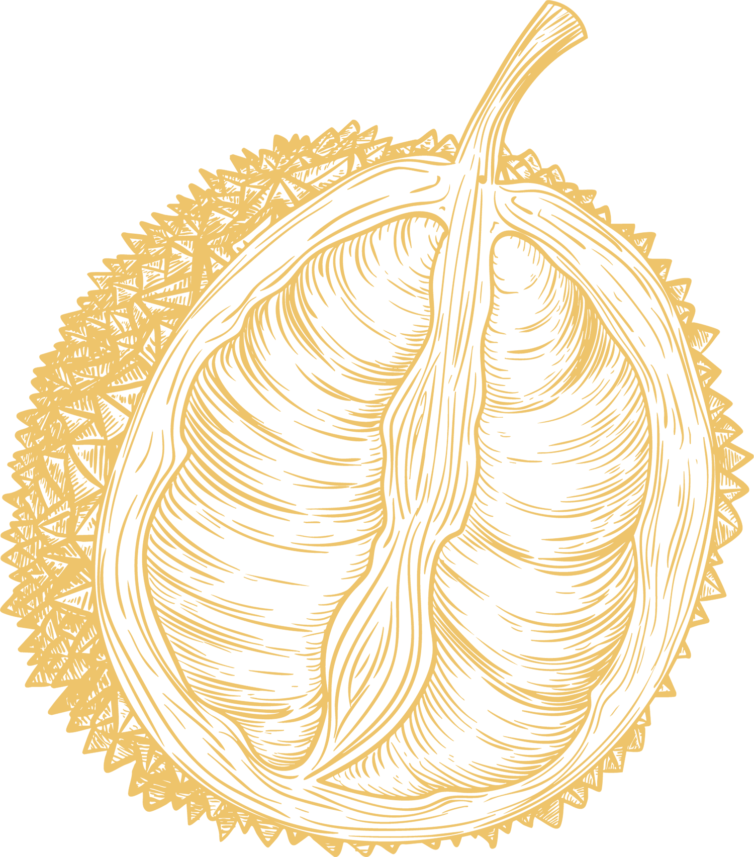 Dury Dury Half Durian